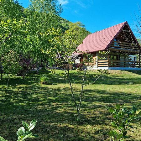 Green Garden Lohovo بيهاتش المظهر الخارجي الصورة