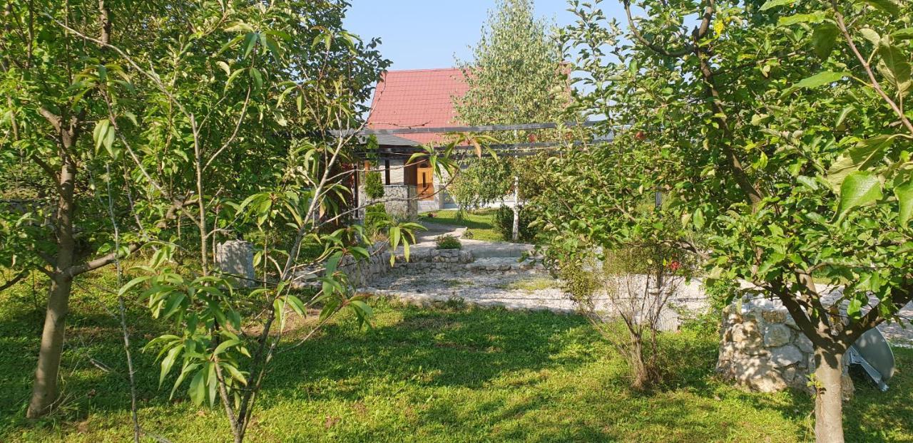 Green Garden Lohovo بيهاتش المظهر الخارجي الصورة