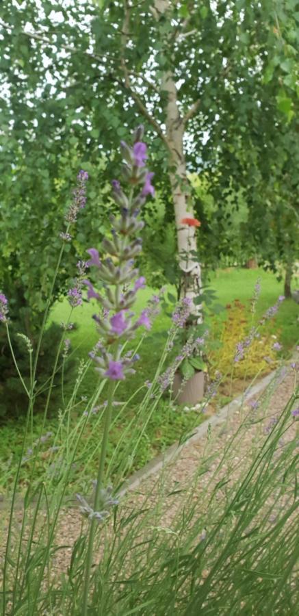 Green Garden Lohovo بيهاتش المظهر الخارجي الصورة