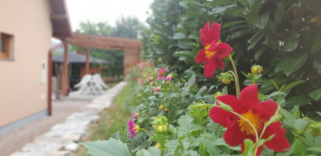 Green Garden Lohovo بيهاتش المظهر الخارجي الصورة